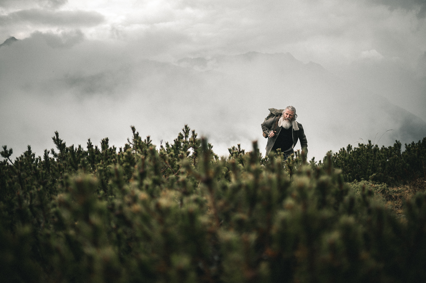 London Dry Gin, alpiner Gin aus Südtirol -seasondelicatessen