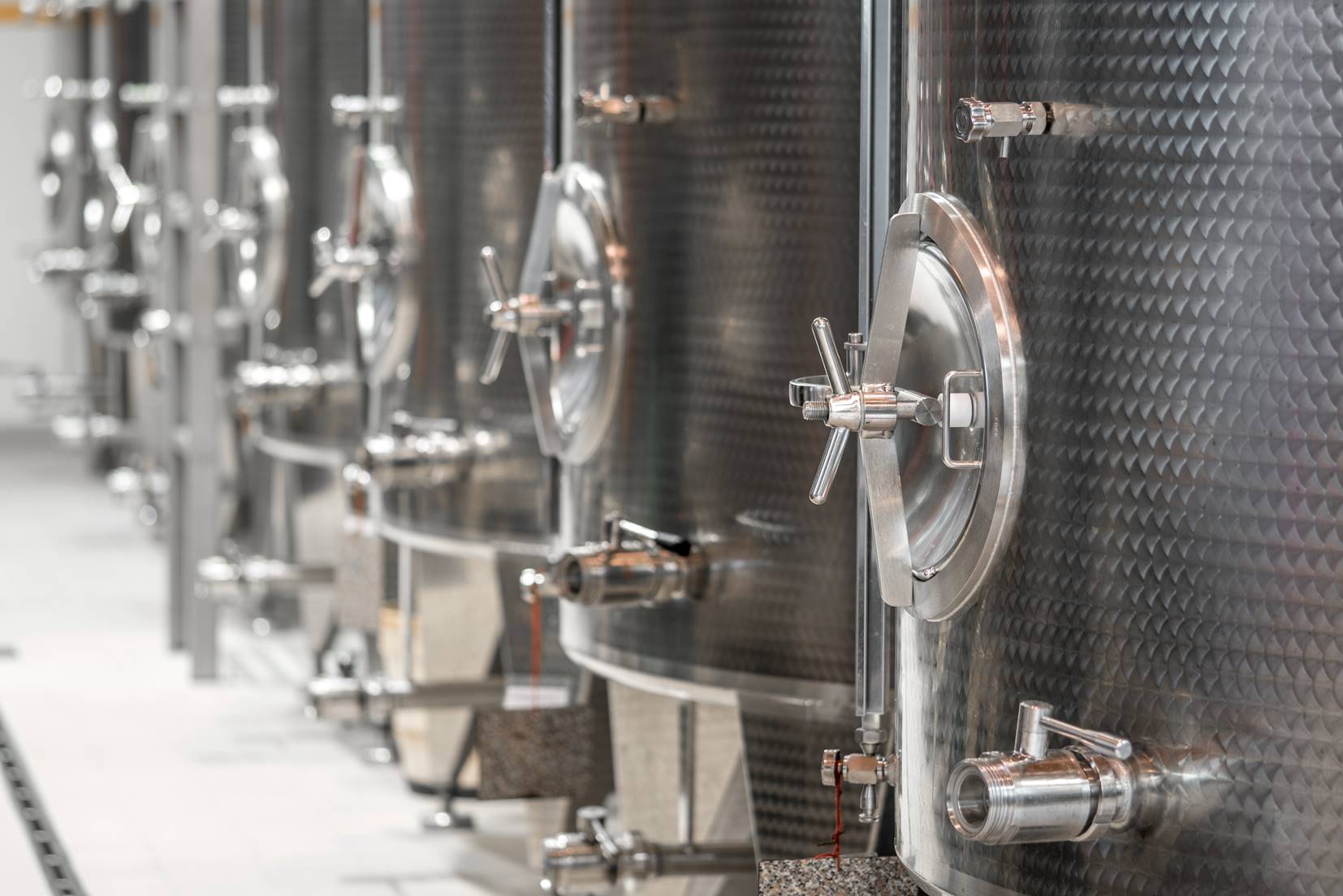 In dem ökologisch nachhaltigen Weingut wird in völligem Einklang mit der Natur gearbeitet.