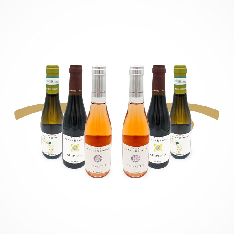 Weinpaket Garda Minis 6x0,375l