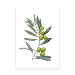 Grußkarte Olive